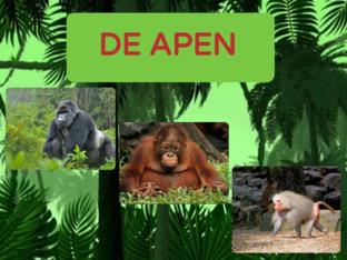 Jungle by Jolanda Schepens