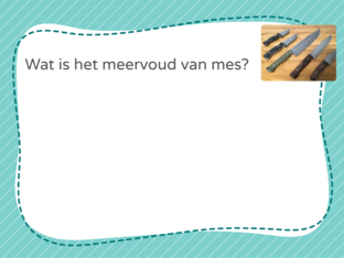 Katten- en hondenwoorden by emma haegeman