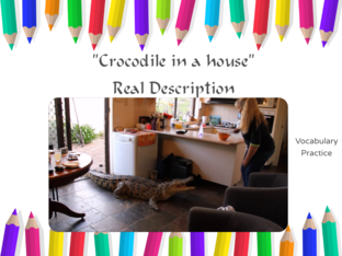 Key vocabulary from Crocodile in the House by Andres Hunter