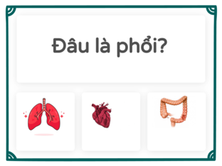 Khám phá về phổi by Giang