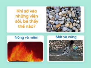 Khám phá về sỏi by Vân Nguyễn