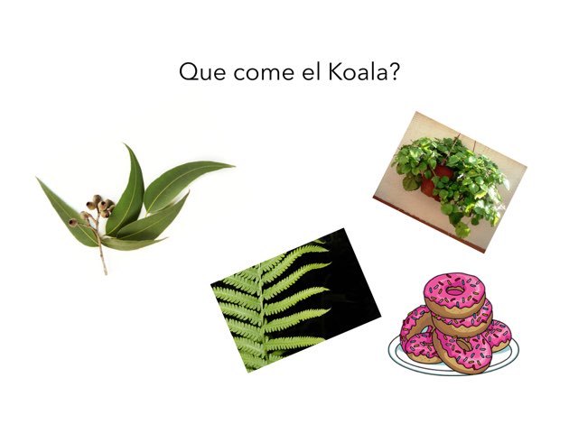 Koala by Eric Marrero Barbosa