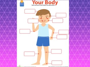 Kroppsdelar by Lotta Kåll