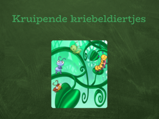 Kruipende kriebeldiertjes by Annelies Aters