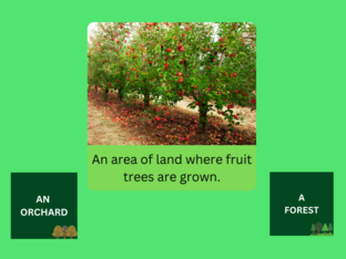 LANDSCAPES by Florencia Varliero