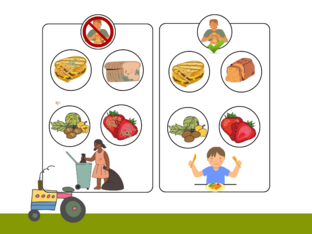 LA CORRETTA ALIMENTAZION by Matteo Caviglioni