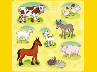 LA GRANJA by susanna quintana pratsevalls