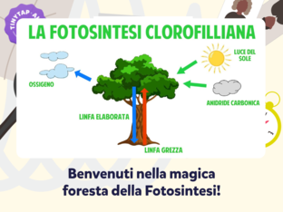 L'Avventura della Fotosintesi Clorofilliana by maestra isa