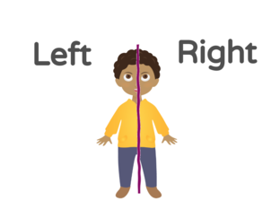 LEFT AND RIGHT by Citlalic Garcia