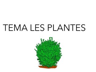LES PLANTES by Antonia Valderrama Sanchez