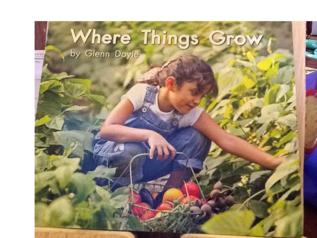 LLI Green Book 9 by margaret rafle