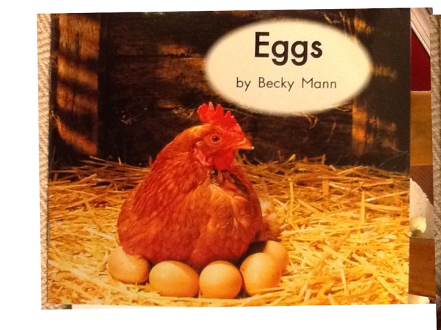 LLI Green Lesson 8 by margaret rafle