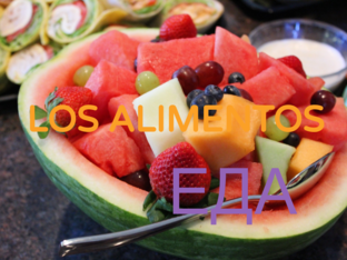 LOS ALIMENTOS by Elena Sanchez