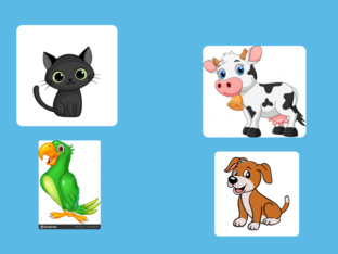LOS ANIMALES by Edison Basurto