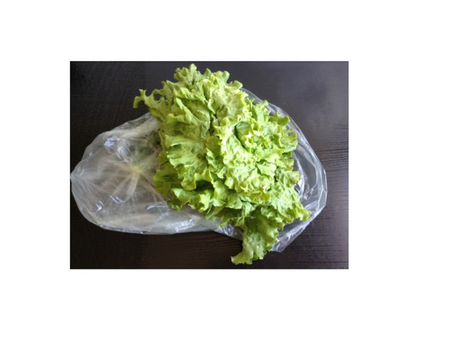 La Salade by Saja Enfant