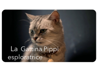 La gatta Pippi esploratrice by Giuseppina Castellano