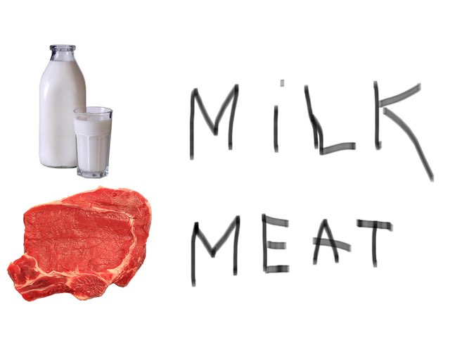 Lander Eta Alvaro by El Regato  3.zikloa