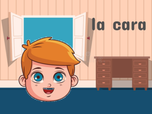 Las partes de la cara by Erika Hdz