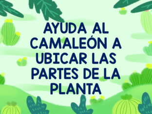 Las partes de la planta(pau ) by Valentina Castro