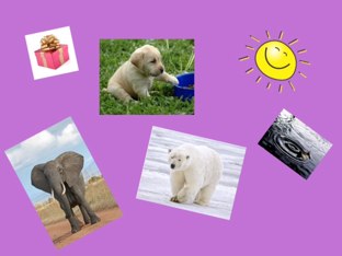 Latin Adjectives by Eleanor Rentz