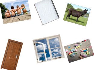 Latin Nouns by Katie Ann