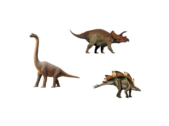 Les dinosaures by Eloise Mc Carthy