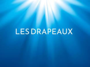 Les Drapeaux by Layal