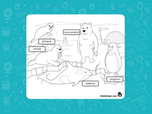 Le Bonnet Rouge Free Activities Online For Kids In Kindergarten By Choussila Bordeaux Le Bonnet Rouge Free Activities Online For Kids In Kindergarten By Choussila Bordeaux