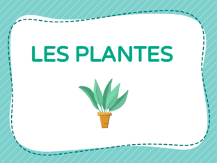 Les plantes by Anna Prat