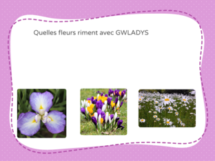 Les rimes  by Du mortier Arnaud