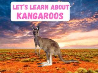 Let's Learn About Kangaroos by Erin