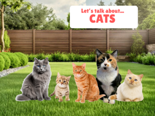 Let's Talk About Cats by Erin
