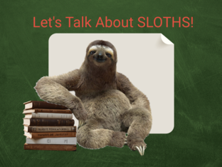 Let's Talk About Sloths! by Erin