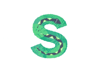 Letter S: rijmen en hoor je de letter in het woord? by Els Van Damme