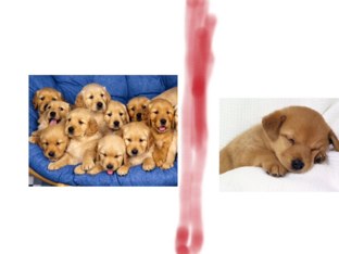 Litter Of The Group by Lin Farndon