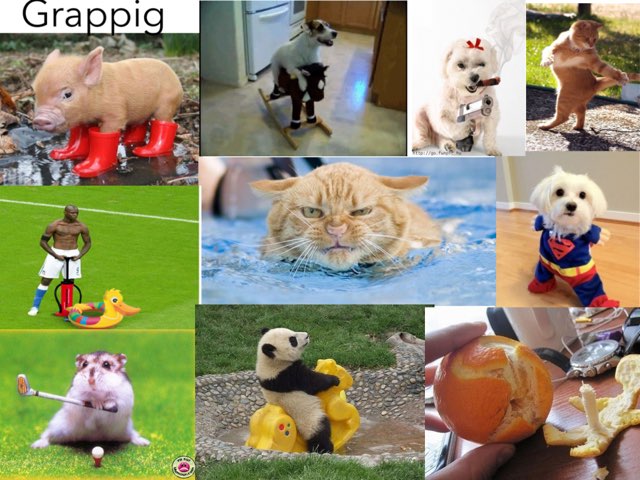 Lollige plaatjes by Simon Plaizier