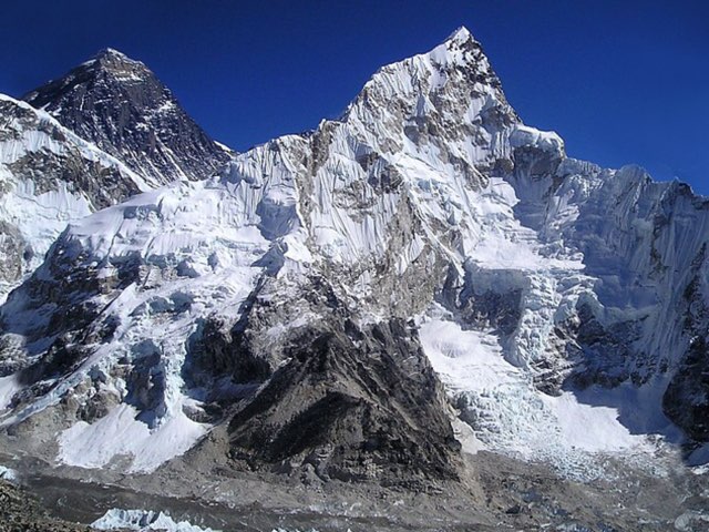 Los ositos del bosque by Carlos Castillo