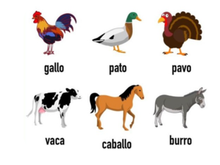 Los animales by 