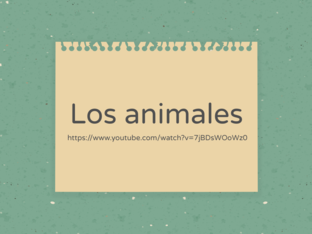 Los animales by Anastasiia Baranova