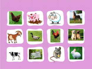 Los animales domésticos y salvajes by TRINH NGUYEN