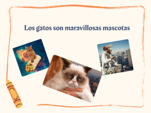 Los gatos son maravillosas mascotas by Mara Oñate
