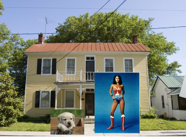 Lost Dogs by Lin Farndon