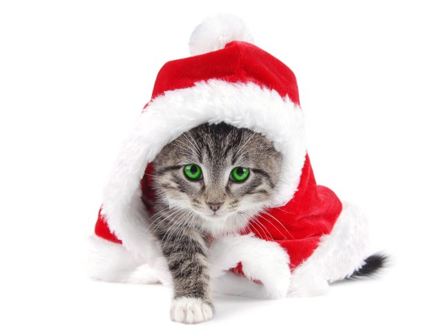 Louis The Christmas Helper by Ainhoa Artolozaga