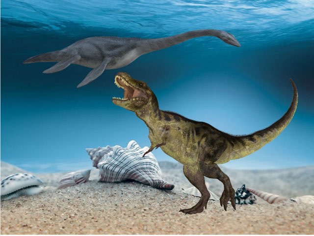 Lucas Andersen by Cristiane Perini