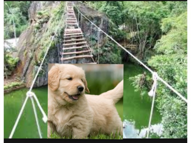 Luli by Beatriz Brandão