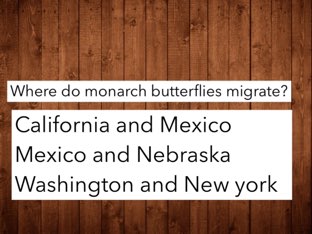 MA 1 by maggie ellis