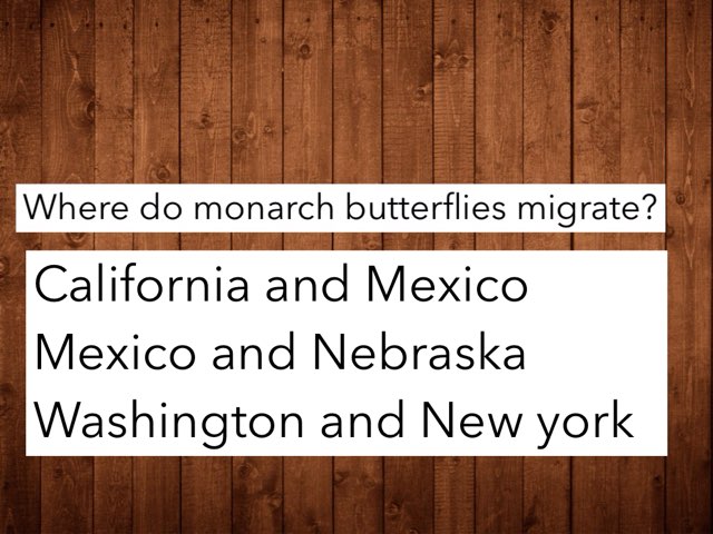 MA 1 by maggie ellis