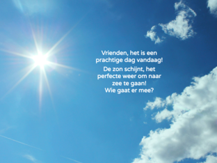 MSST zomer  by Caroline Fichefet