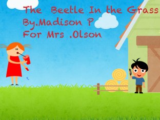 Madison's Beetle Project  by Stephanie Olson