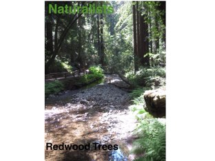 Mandy, Hailey, Kelly K by Kristi Luo